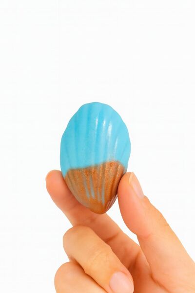 SOO SOAP DENİZ KABUKLARI MİNİ SABUN SETİ