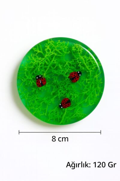 SOO SOAP UĞUR BÖCEKLİ SABUN DİLİMİ