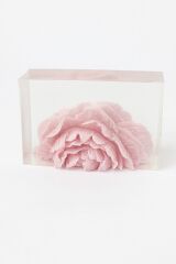 SOO SOAP TRANSPARAN GÜL SABUN DİLİMİ