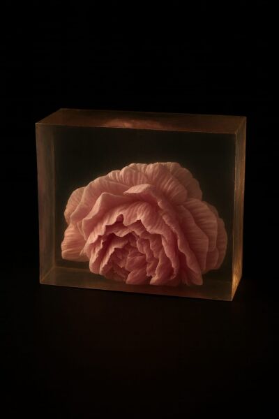 SOO SOAP TRANSPARAN GÜL SABUN DİLİMİ