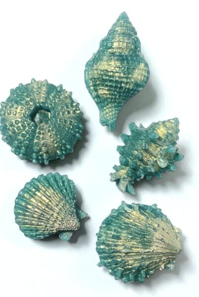SOO SOAP DENİZ KABUKLARI 5'Lİ SET YEŞİL-GOLD HEDİYELİK DEKORATİF EL YAPIMI