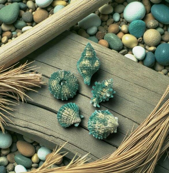 SOO SOAP DENİZ KABUKLARI 5'Lİ SET YEŞİL-GOLD HEDİYELİK DEKORATİF EL YAPIMI