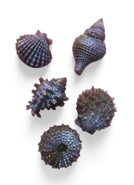 SOO SOAP DENİZ KABUKLARI MOR HOLOGRAMLI 5 Lİ SABUN SETİ HEDİYELİK DEKORATİF EL YAPIMI