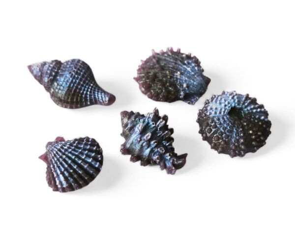 SOO SOAP DENİZ KABUKLARI MOR HOLOGRAMLI 5 Lİ SABUN SETİ HEDİYELİK DEKORATİF EL YAPIMI