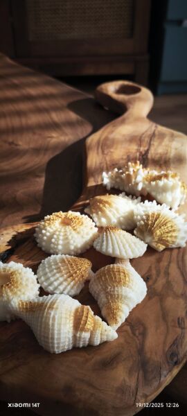 SOO SOAP DEKORATİF SABUN KASESİ EL YAPIMI HEDİYELİK