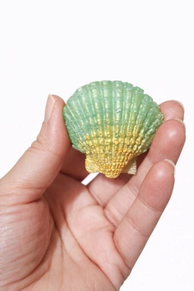 SOO SOAP DENİZ KIZI & DENİZ KABUĞU SETİ EL YAPIMI HEDİYELİK DEKORATİF