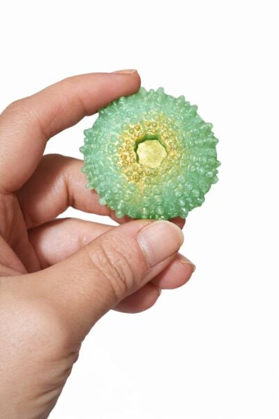 SOO SOAP DENİZ KIZI & DENİZ KABUĞU SETİ EL YAPIMI HEDİYELİK DEKORATİF