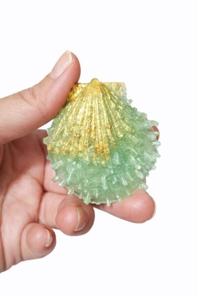 SOO SOAP DENİZ KIZI & DENİZ KABUĞU SETİ EL YAPIMI HEDİYELİK DEKORATİF