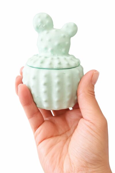 SOO KAKTÜS MUM  EL YAPIMI HEDİYELİK DEKORATİF