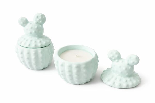 SOO KAKTÜS MUM  EL YAPIMI HEDİYELİK DEKORATİF