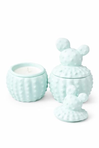 SOO KAKTÜS MUM  EL YAPIMI HEDİYELİK DEKORATİF