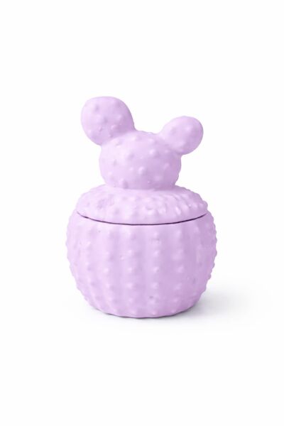 SOO KAKTÜS MUM  EL YAPIMI HEDİYELİK DEKORATİF