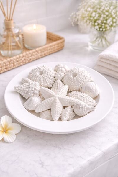 SOO MARİNA KASEDE  DENİZ KABUKLARI KOKULU TAŞ SETİ EL YAPIMI HEDİYELİK DEKORATİF